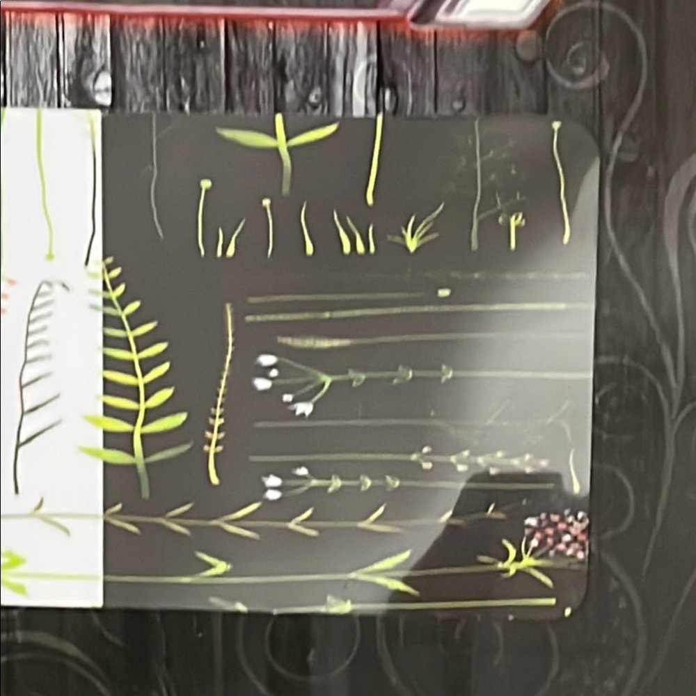 Laptop Skins — Saplings Design - Picture 4 of 5